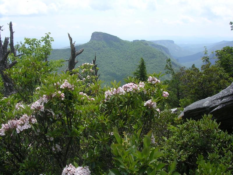 Table rock   linville gorge  NC