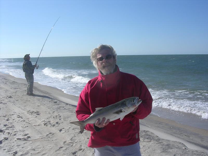 Cape Lookout N.C.  (bluefish)